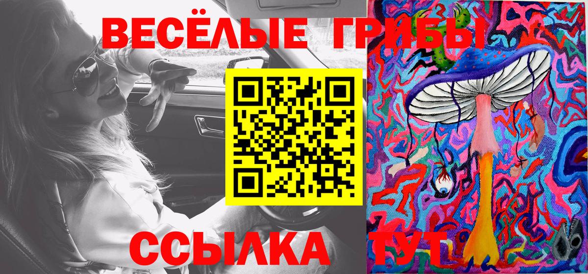 что такое   Вход с VPN  Асбест  Галлюциногенные грибы GOLDEN TEACHER 